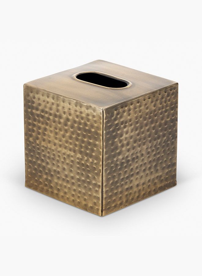 Neo Hammered Tissue Box