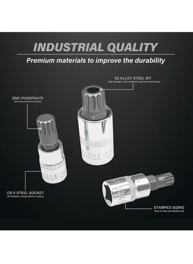 XZN Triple Square Spline Bit Socket Set, 10 Piece, M4 to M18, Includes 1/2, 1/4, and 3/8 Inch Drive, Premium S2 and Cr V Steel