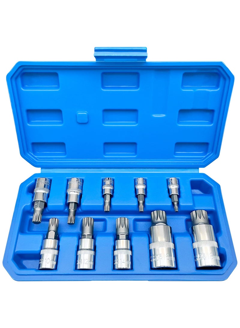 XZN Triple Square Spline Bit Socket Set, 10 Piece, M4 to M18, Includes 1/2, 1/4, and 3/8 Inch Drive, Premium S2 and Cr V Steel