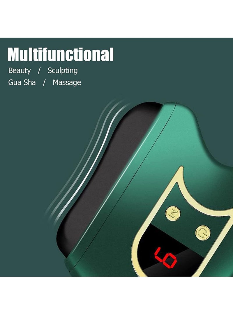 Gua Sha Facial Tools, Electric Gua Sha Plate, Neck Face Firming Wrinkle Removal Tool Double Chin Reducer Vibration Massager 9 Gear Massage for Arms Face Neck Shoulders Legs