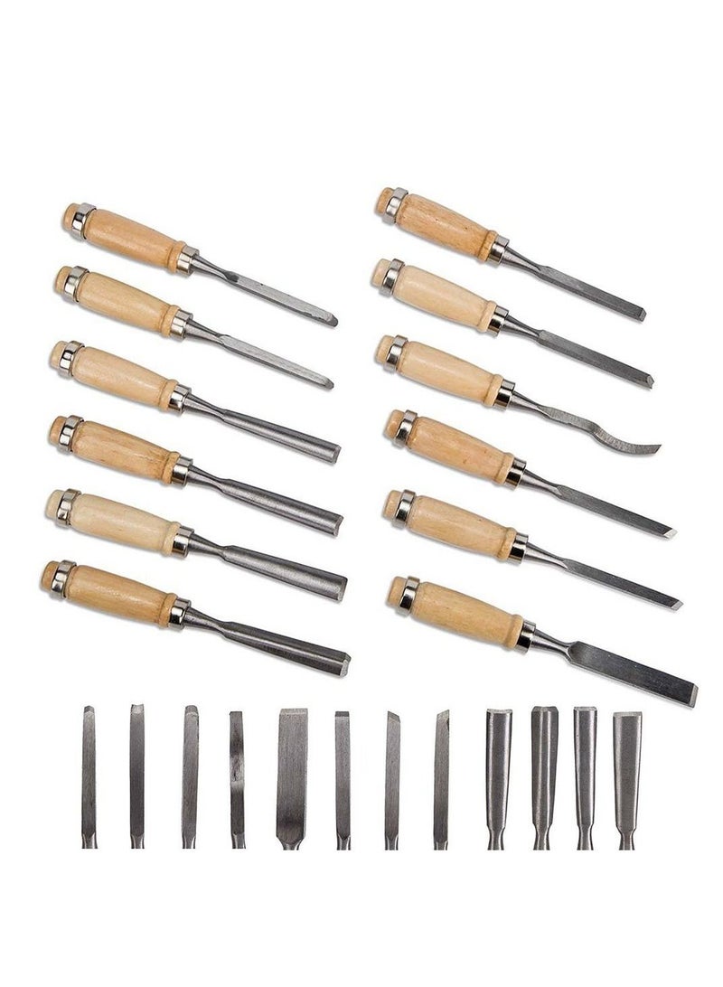 12 Pcs Professional Wood Carving Chisel Set Sharp Woodworking Tools with Carrying Bag Great for Beginners