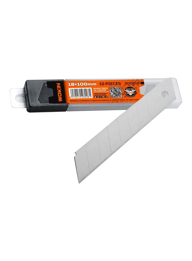 10-Piece Blade Set Silver 18x100mm