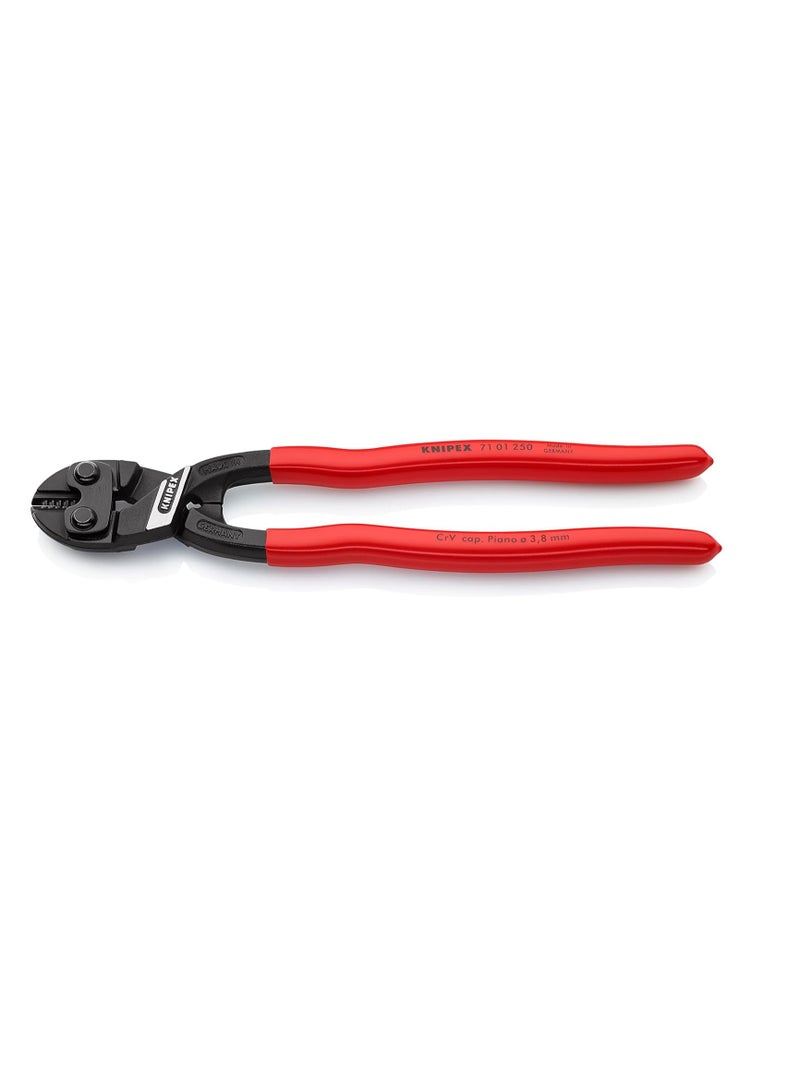 Compact Bolt Cutters Black Plastic Coated 250 Mm