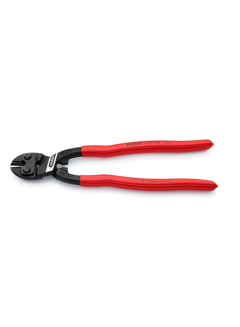 Compact Bolt Cutters Black Plastic Coated 250 Mm