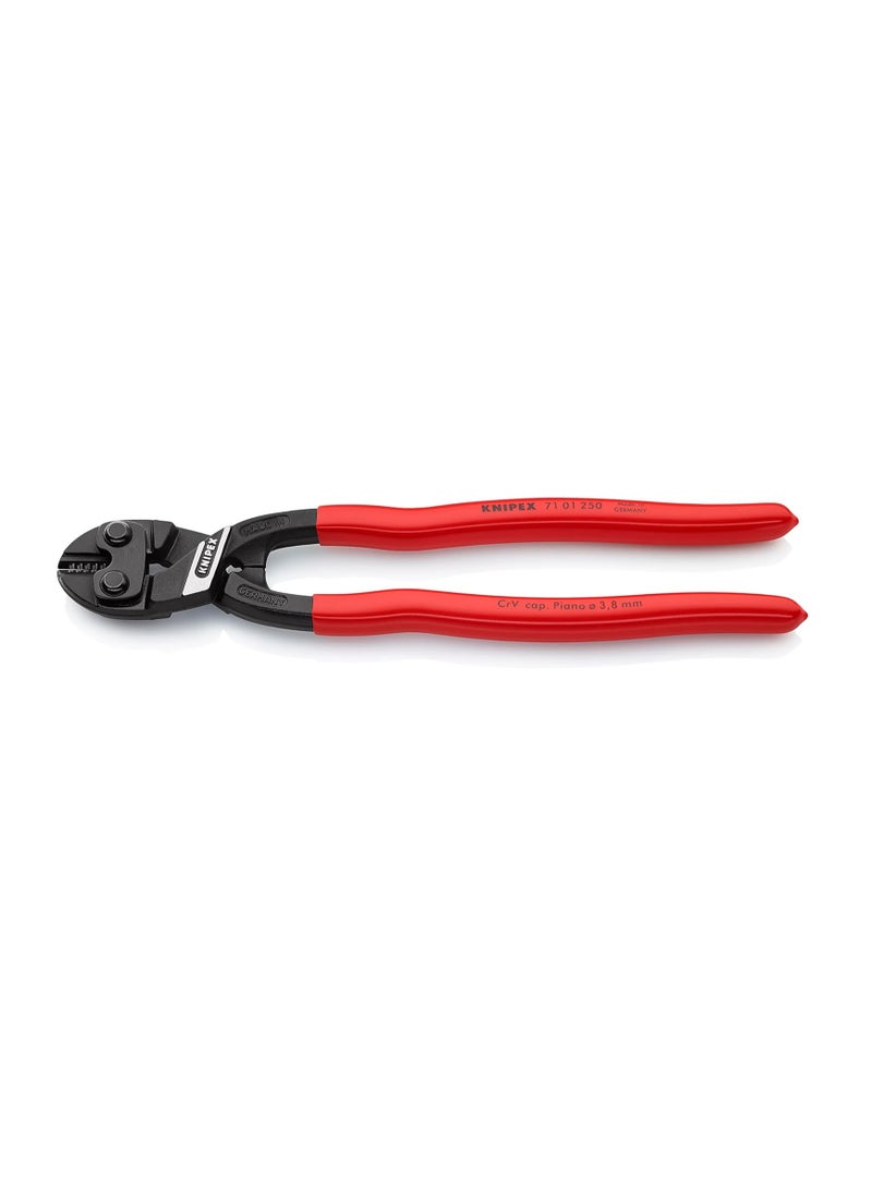 Compact Bolt Cutter Black Plastic Coated 250 Mm