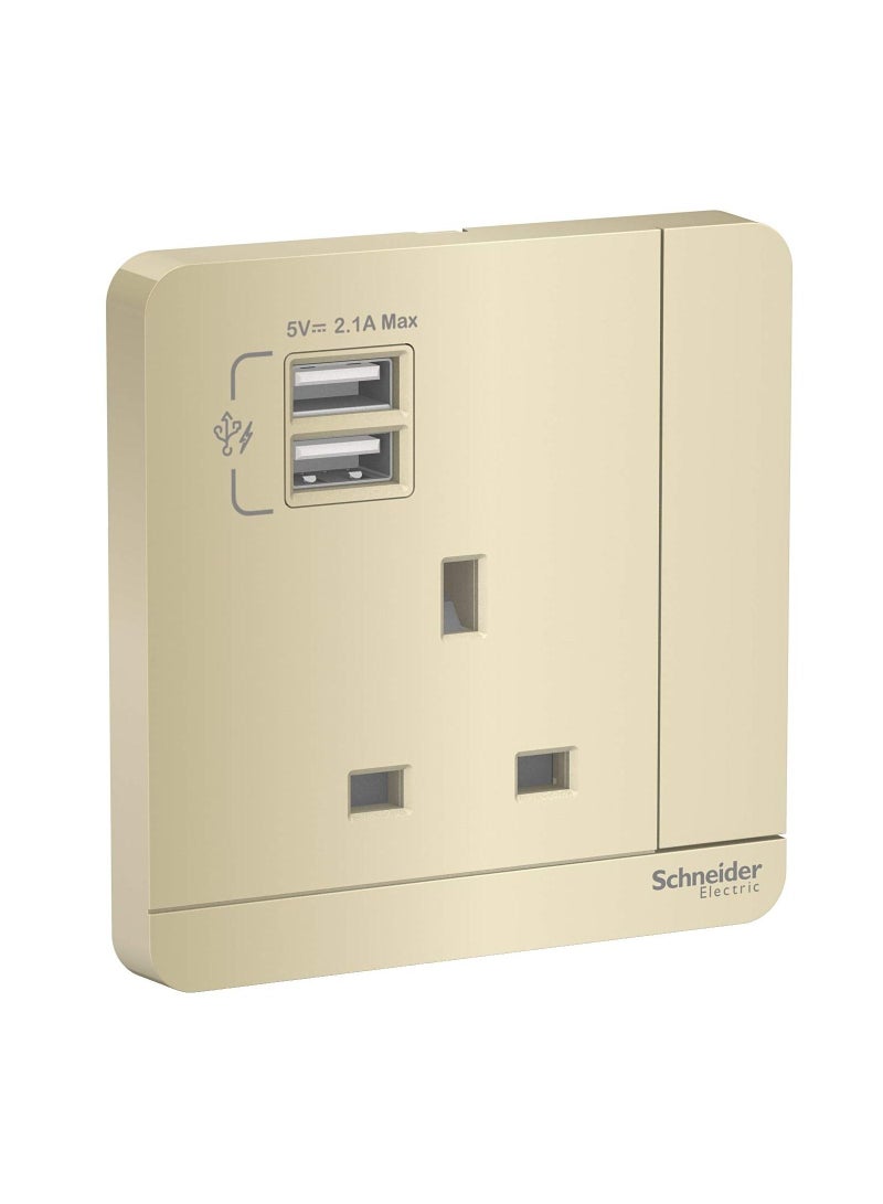 RACO Schneider Electric E8315USB_WG_G12 AvatarOn Gold