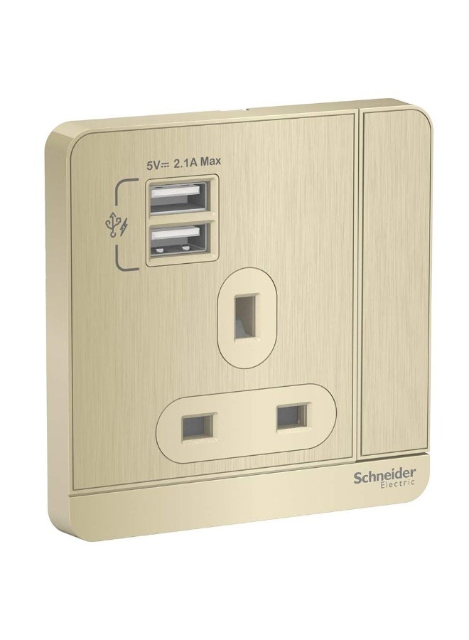 Electric Avataron, 1 Gang, Socket With Usb, 13A, Gold Hairline