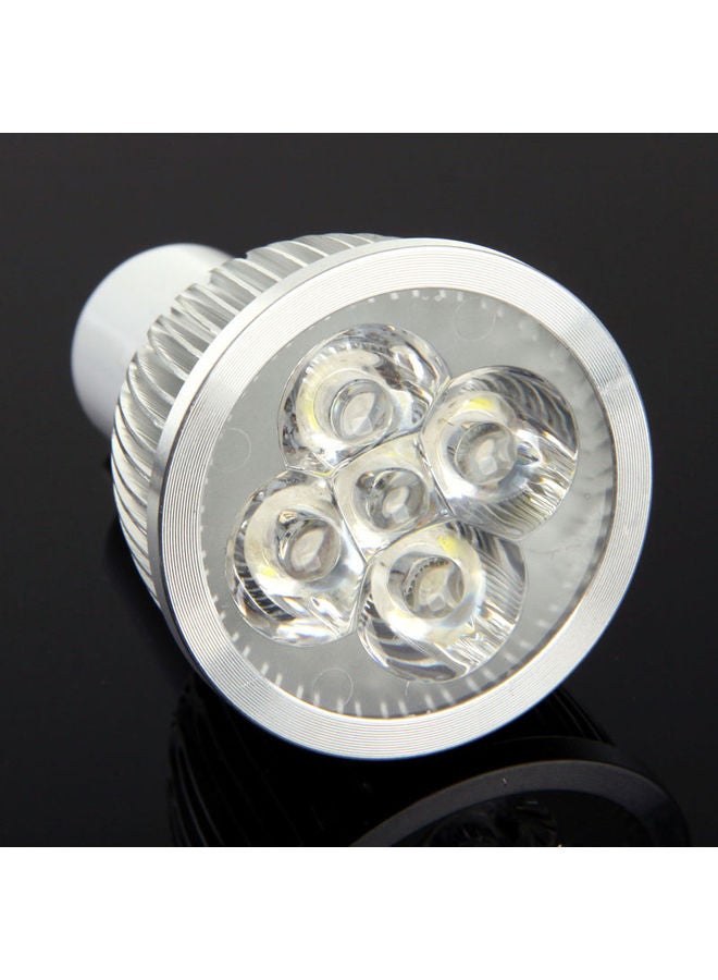 LED Spotlight White