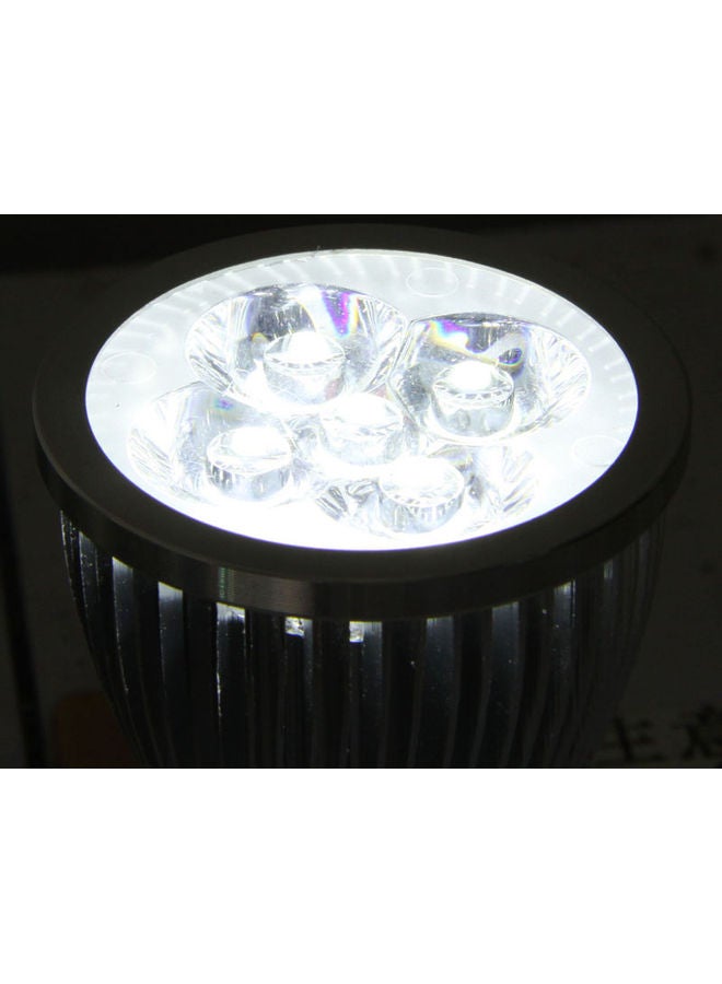 LED Spotlight White