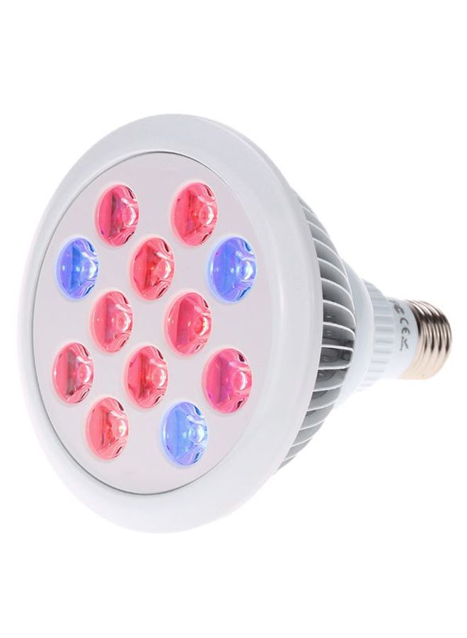 LED Bulb White