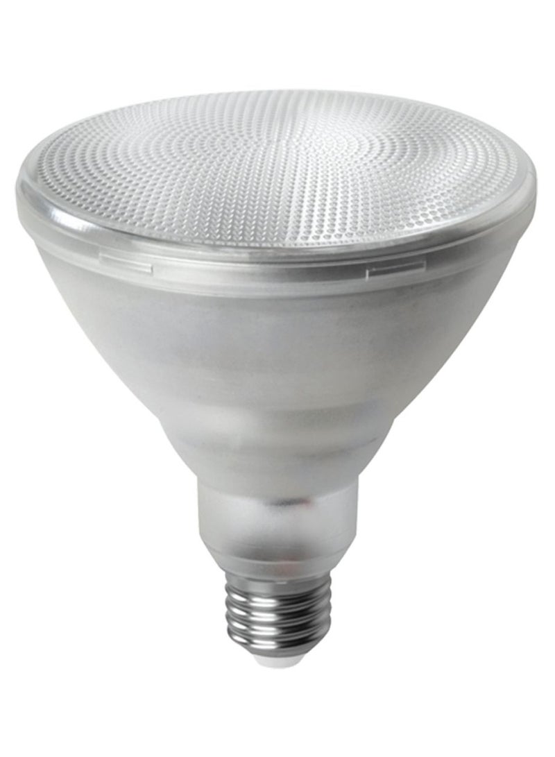 LED Light Bulb Silver/Clear 13.2 x 12.1centimeter