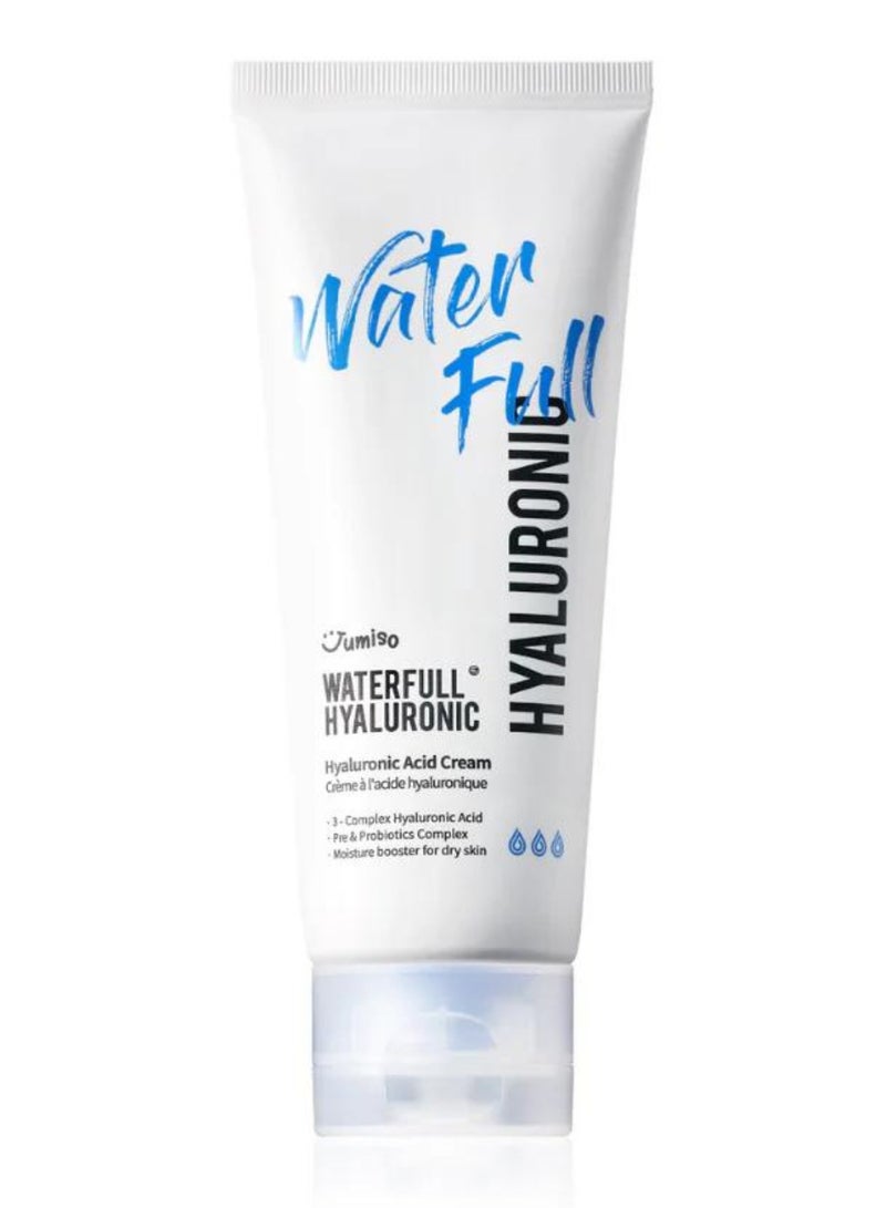 Size Up Waterfull Hyaluronic Cream 100ml | Deep Hydration and Plumping Moisturizer for Smooth, Radiant Skin