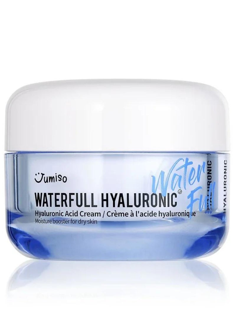 Waterfull Hyaluronic Cream 50ml | Intense Hydration and Plumping Moisturizer for Smooth, Radiant Skin