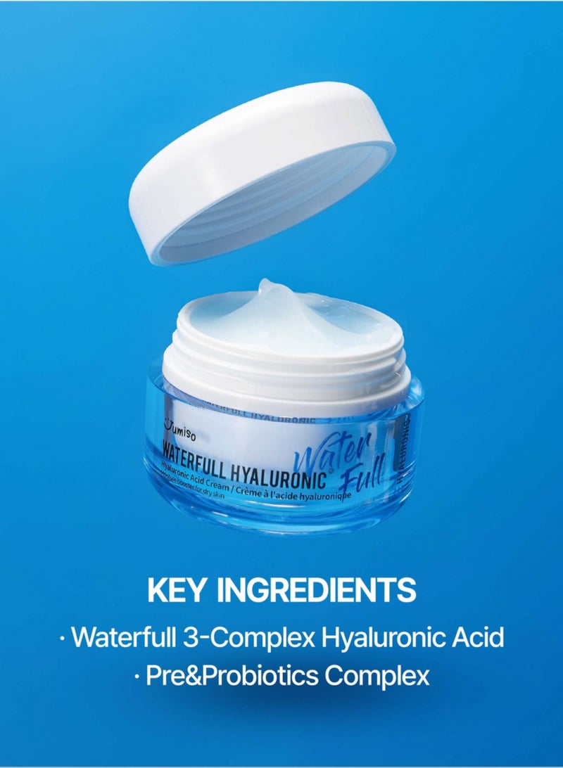 Waterfull Hyaluronic Cream 50ml | Intense Hydration and Plumping Moisturizer for Smooth, Radiant Skin