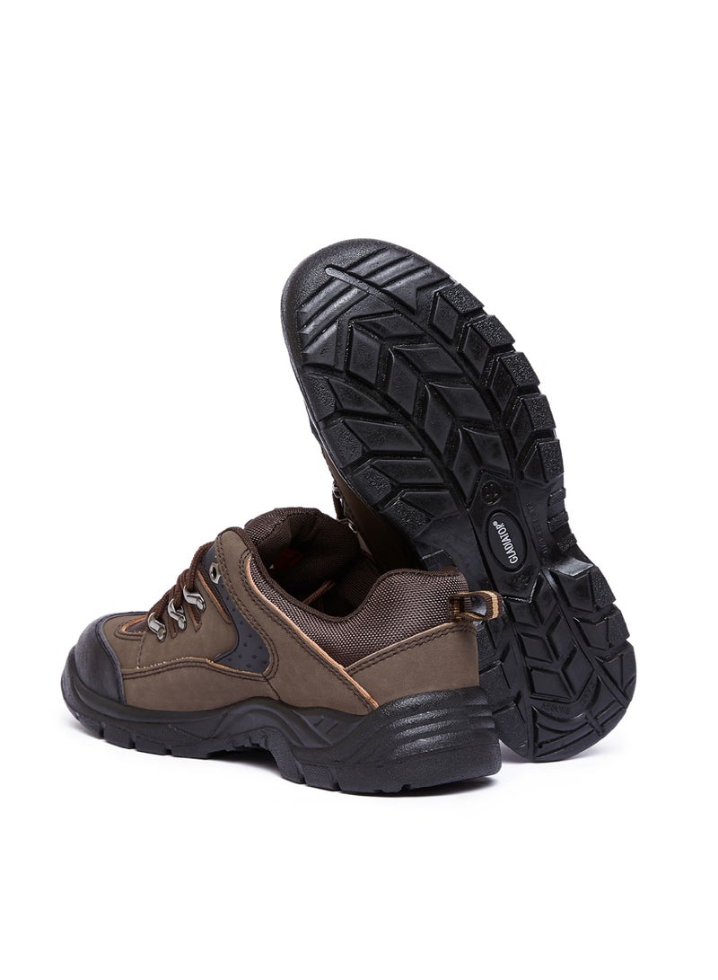 Gladiator Steel toe Safety Shoe 336 Brown