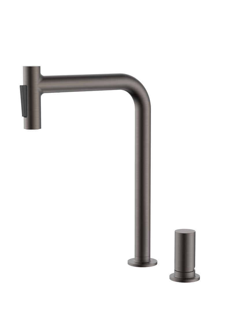 Dalarna Kitchen Mixer with Pull Out Shower