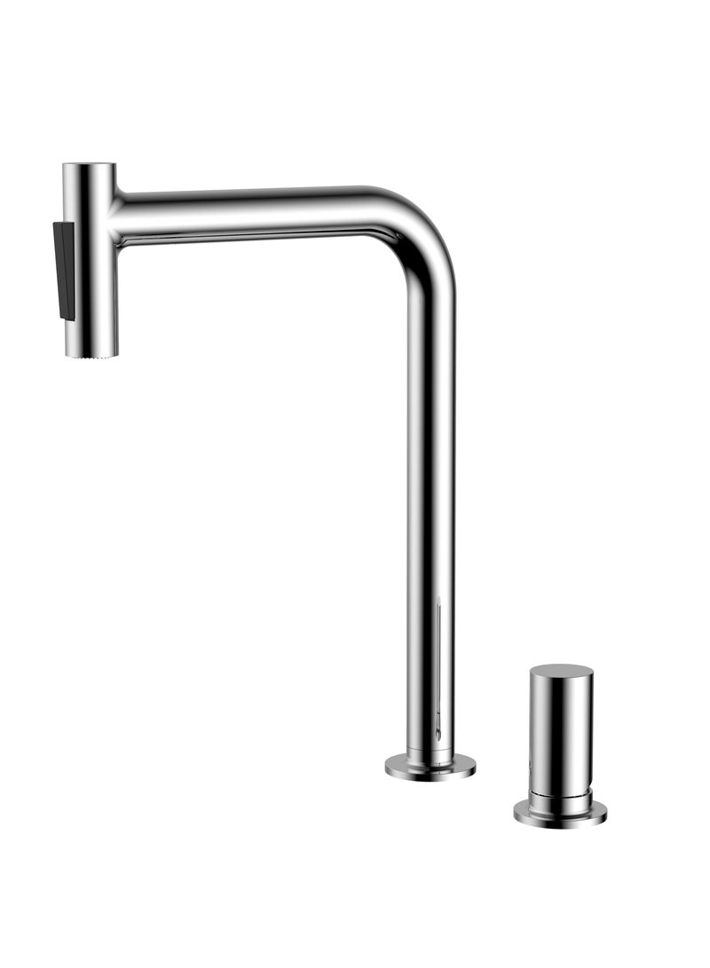 Dalarna Kitchen Mixer with Pull Out Shower