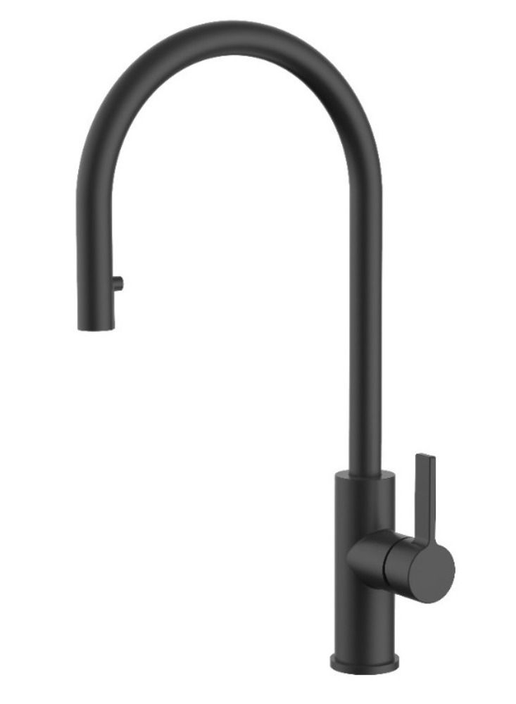 Halm Kitchen Mixer with Pull Out Shower