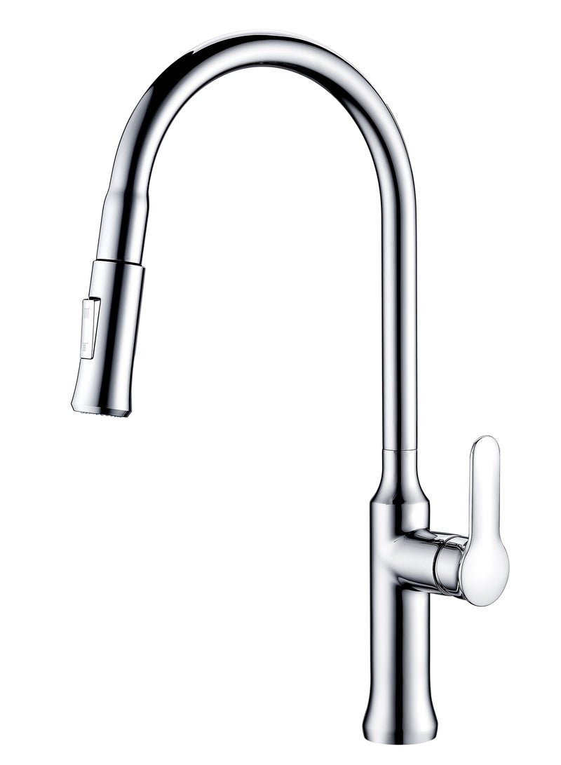 Mars Kitchen Mixer with Pull Out Shower