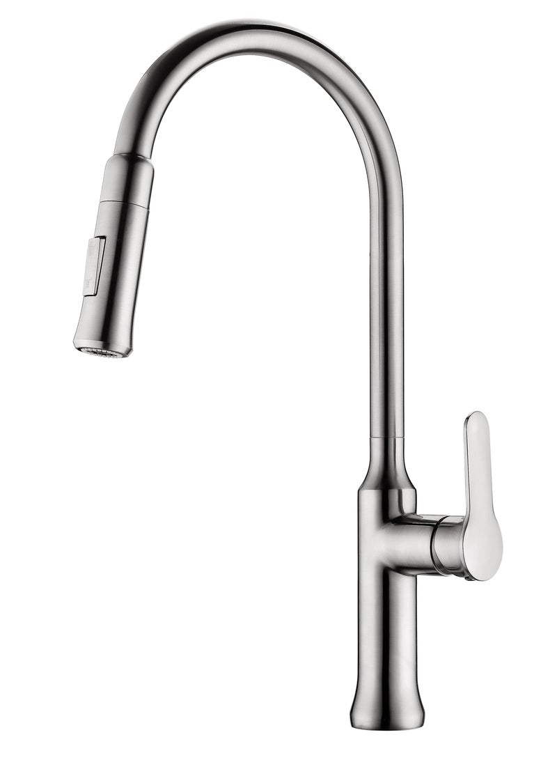 Mars Kitchen Mixer with Pull Out Shower