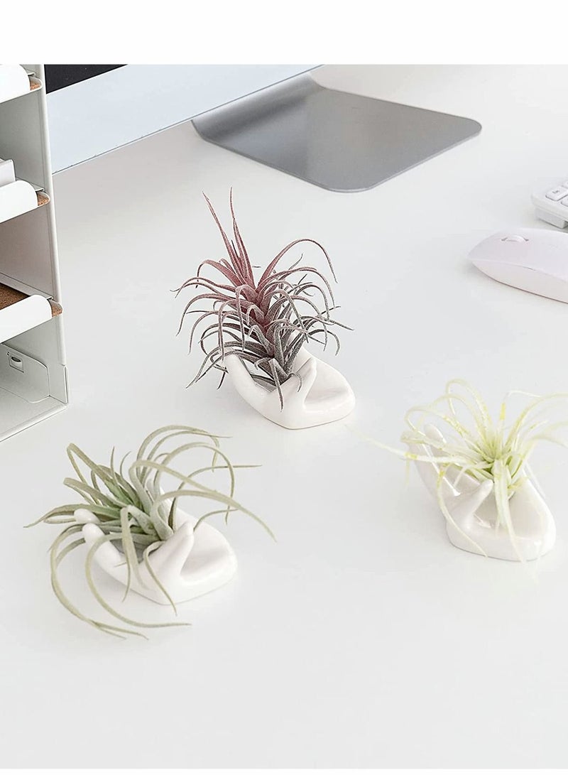 Air Plant Holder Creative Ceramic, 3 Pcs Egg Cup Holders, Hand Shape Stand, Office Desk Base Airplant Display Container Pot, Ocarina Support, White