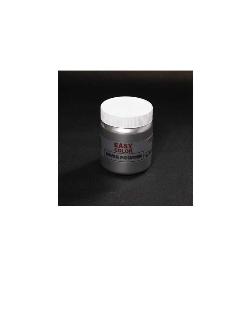 Easy Color Bronze Powder Silver - 500ml