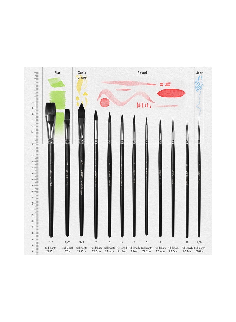 12 Pieces Watercolor Paint Brushes Intermediate Series Synthetic Nylon Brushes for Acrylic Gouache Oil Painting Includes Round Flat Cat Tongue