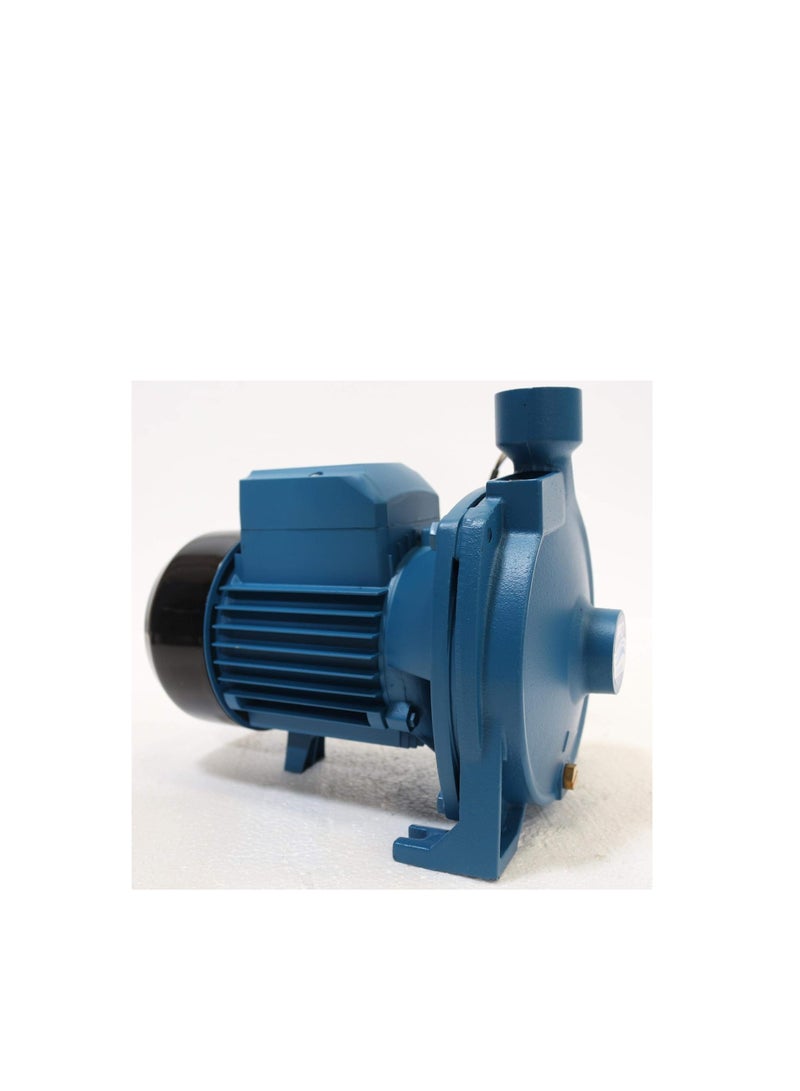 Centrifugal Pump PCP10,1 HP