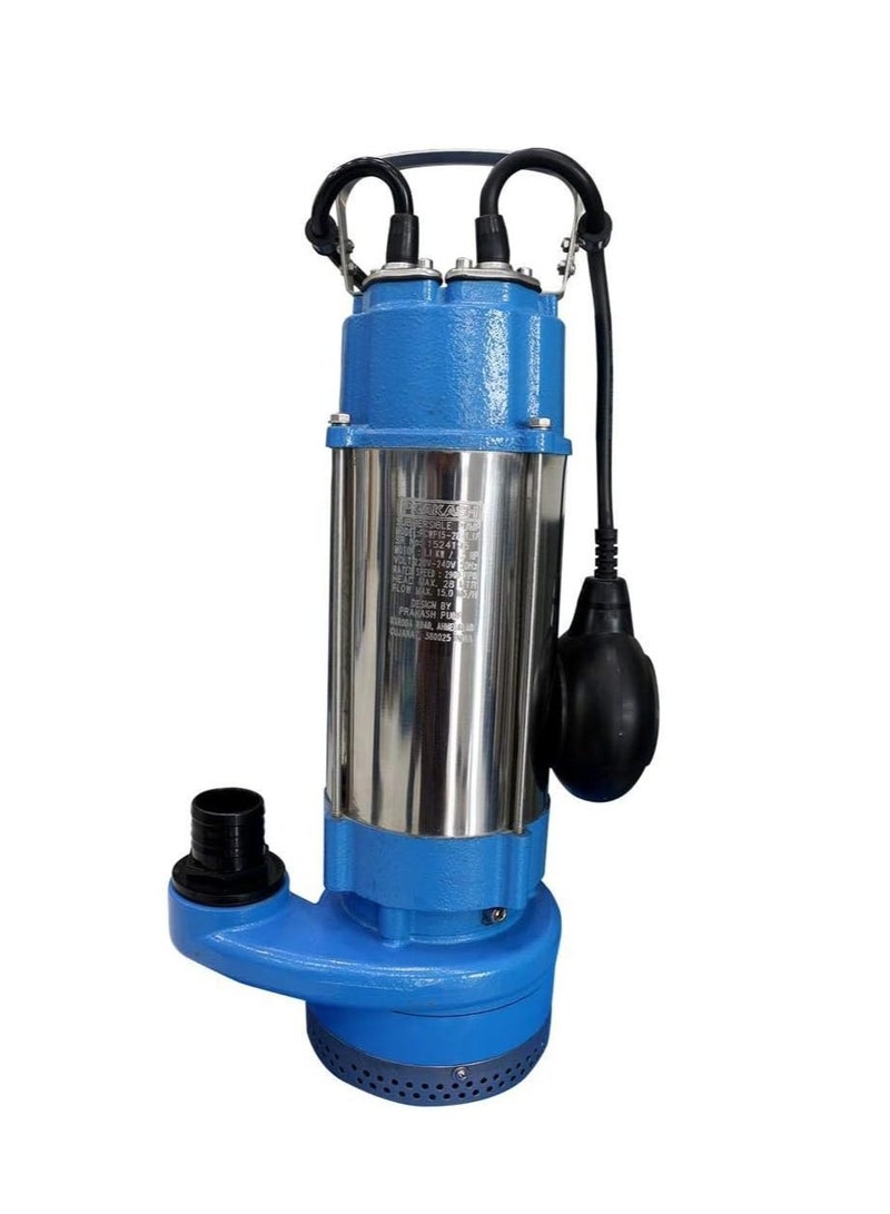 1 HP Clean Water Pump