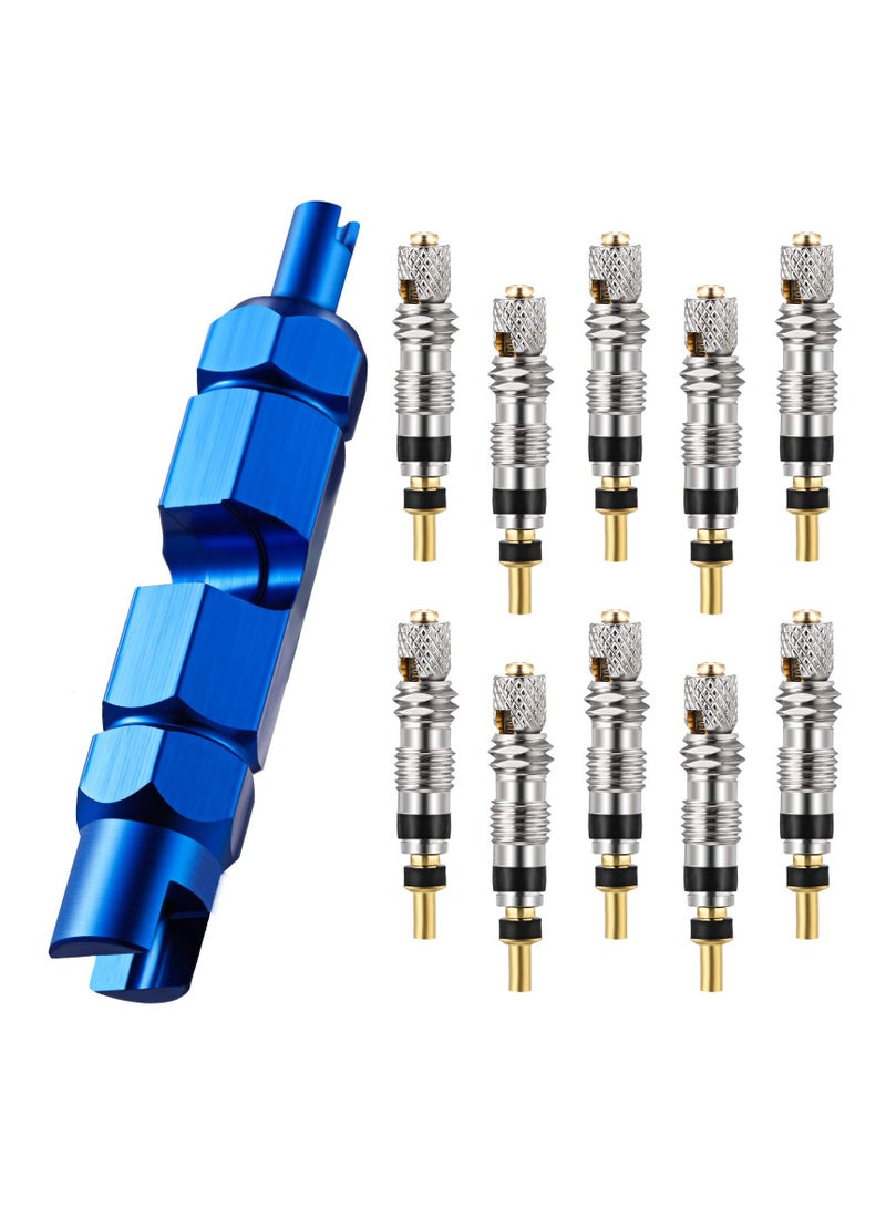 SYOSI Valve Core Remover Tool Kit Blue Bicycle Valve Core Tightening Tool and 10 Pieces Valve Cores Brass for Bike Bicycle Tire Application