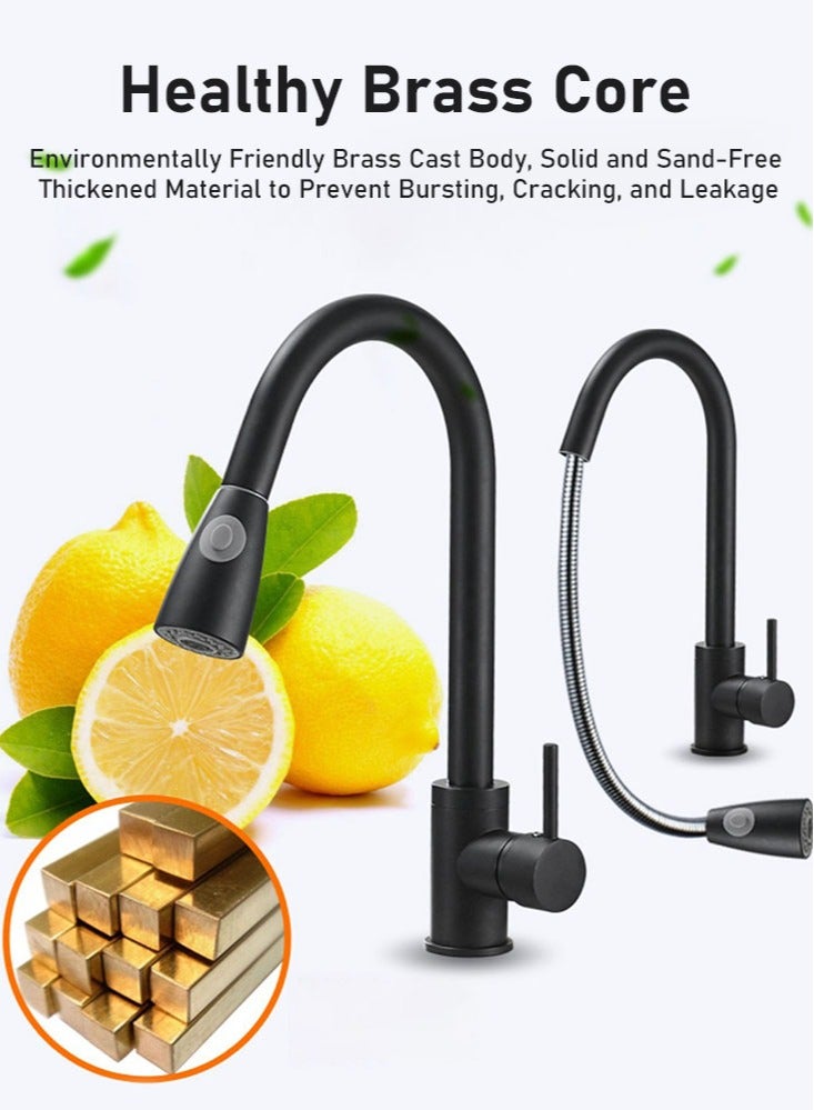 Single Handle High Arc Kitchen Faucet with Pull Down Sprayer, Stainless Steel Modern Faucet, 360° Swivel Spout
