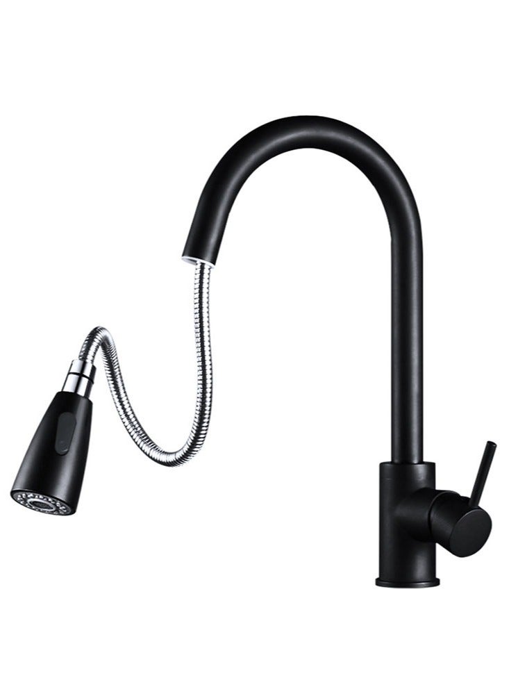 Single Handle High Arc Kitchen Faucet with Pull Down Sprayer, Stainless Steel Modern Faucet, 360° Swivel Spout