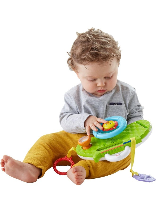 Fisher-Price Newborn-Rollin' and Strollin' Dashboard