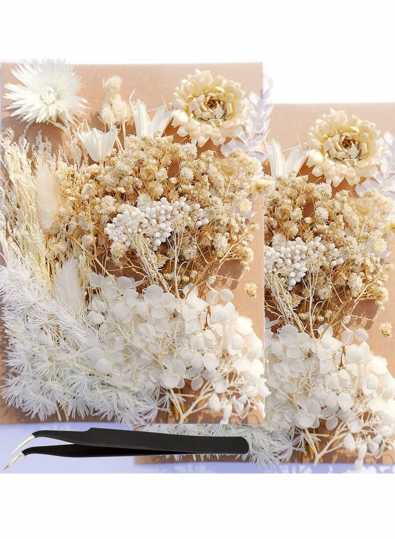 2 Pack White Dried Flowers for Resin Jewelry Molds, Real Pressed Dry Flower Leaves with Tweezers, DIY Crafts Nail Art Candle Soap Making Phone Case Pendant Floral Decors