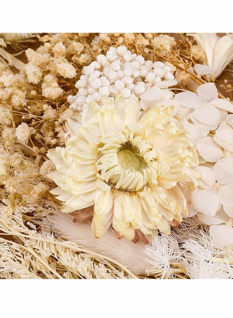 2 Pack White Dried Flowers for Resin Jewelry Molds, Real Pressed Dry Flower Leaves with Tweezers, DIY Crafts Nail Art Candle Soap Making Phone Case Pendant Floral Decors