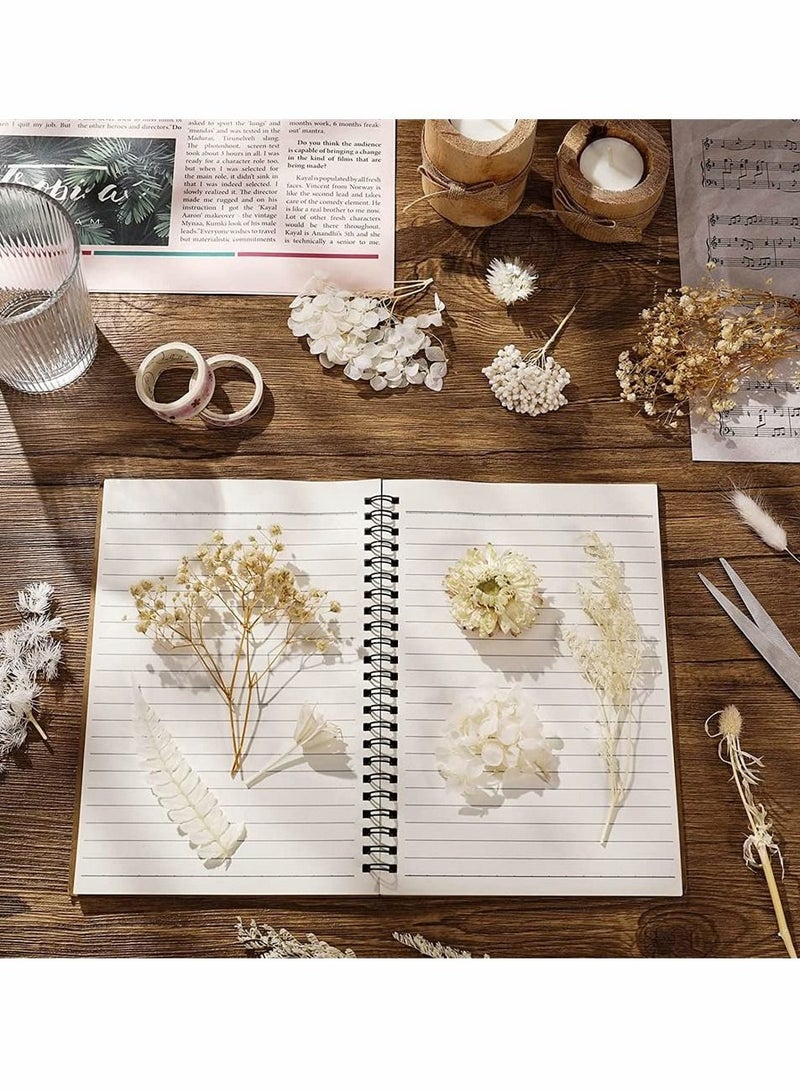 2 Pack White Dried Flowers for Resin Jewelry Molds, Real Pressed Dry Flower Leaves with Tweezers, DIY Crafts Nail Art Candle Soap Making Phone Case Pendant Floral Decors