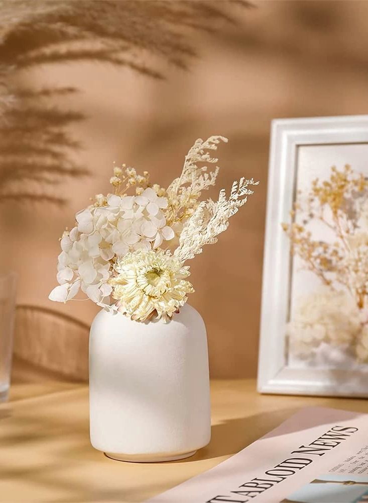 2 Pack White Dried Flowers for Resin Jewelry Molds, Real Pressed Dry Flower Leaves with Tweezers, DIY Crafts Nail Art Candle Soap Making Phone Case Pendant Floral Decors