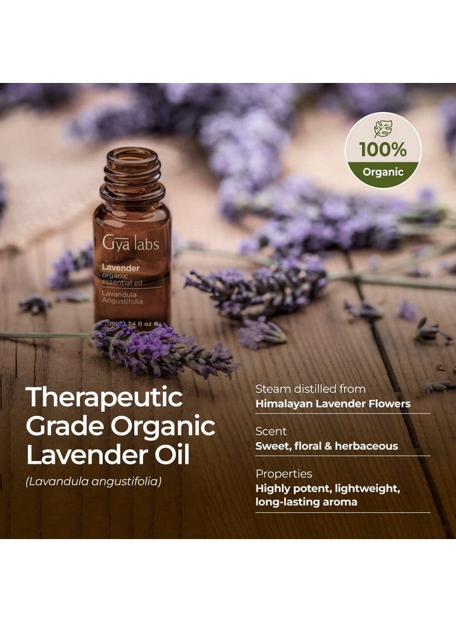 Organic Lavender Essential Oil For Diffuser & Skin 100% Natural Organic Lavender Oil For Aromatherapy & Feelings Of Relaxation Lavender Oil Organic For Hair (0.34 Fl Oz)