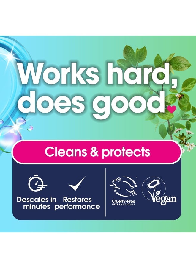 ECOZONE Kettle & Iron Descaler