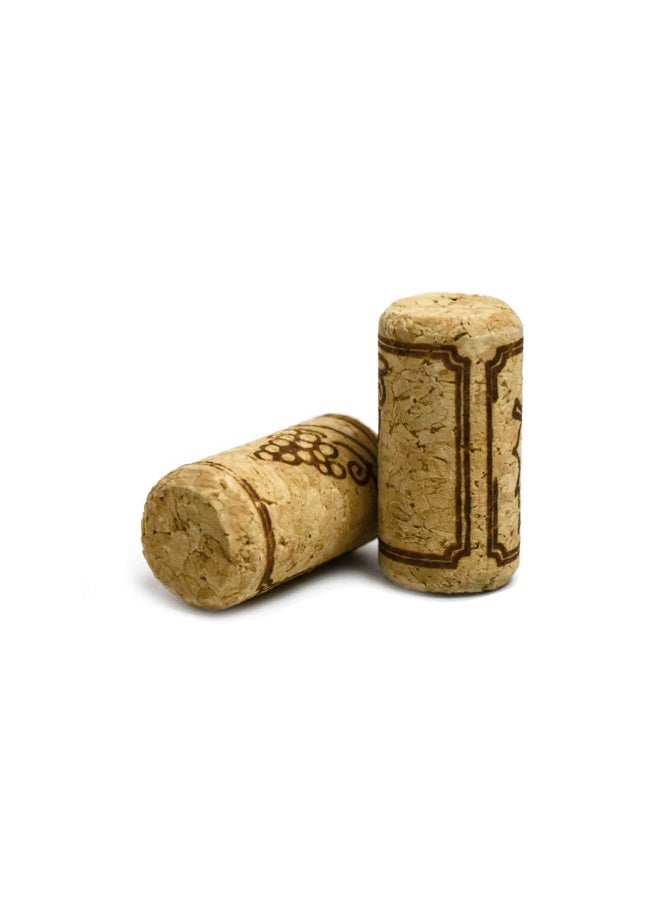 Aipasi TechWine Bottle Double Lever Hand Corker For Standard Wine Belgian Beer and Synthetic Plastic Corks