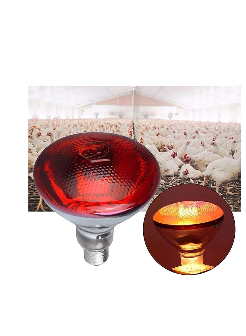 2 Pack Heat Lamp Red Infrared Bulbs PAR38100 Watts Glass Lamp Bulb for Food Service, Brooder Bulb, Chicks, Pet, Bathroom, Light Therapy Use E26 Base, Flood Light Heat Lamp Bulb