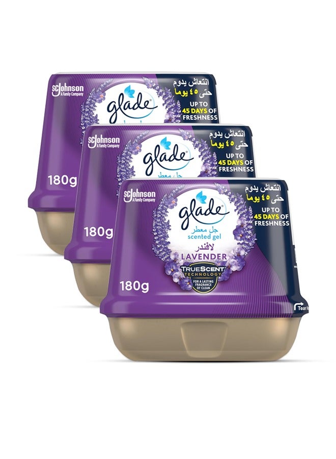 Scented Gel Lavender 3 x 180G Pack of 3