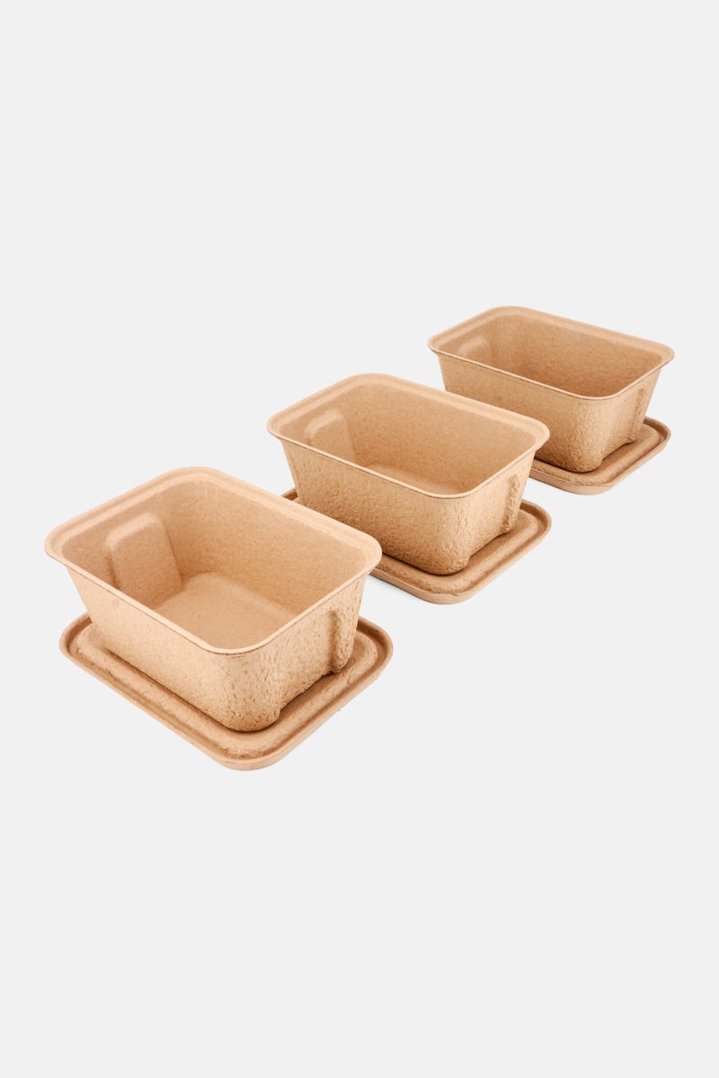 3 Pack Pulp Boxes, Tan