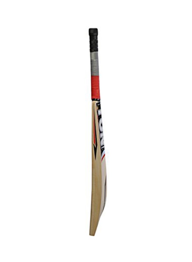 Ton Maximus No.6 Cricket Bat