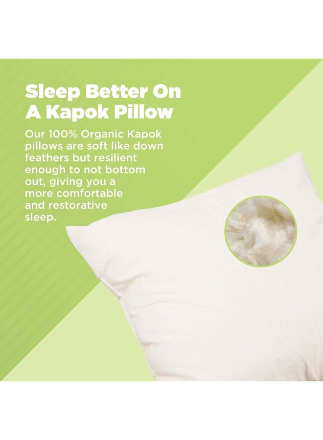 12  X 20  Euro Pillow Organic Cotton Kapok Fill 12  By 20  Euro Natural