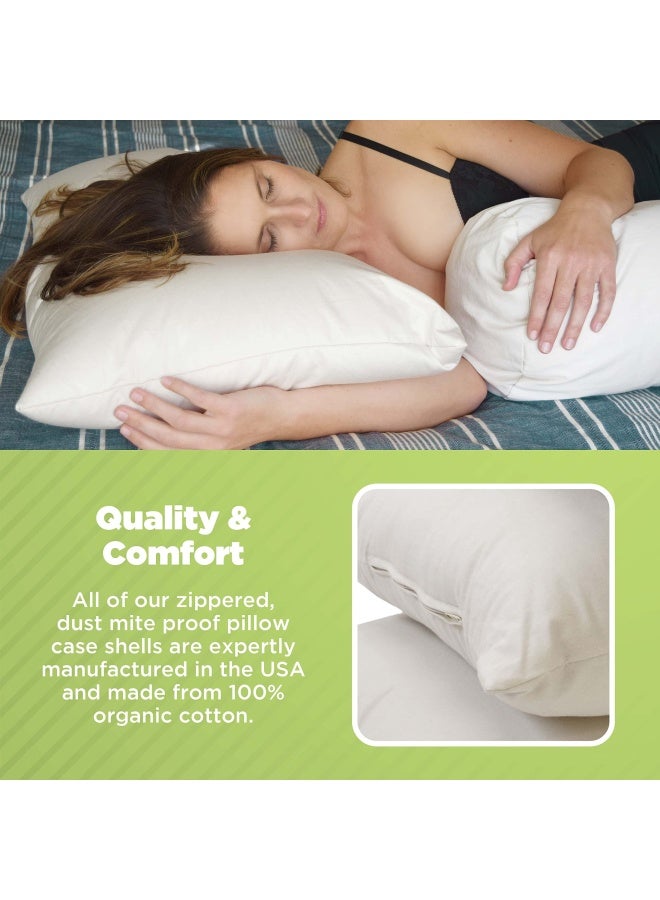 12  X 20  Euro Pillow Organic Cotton Kapok Fill 12  By 20  Euro Natural