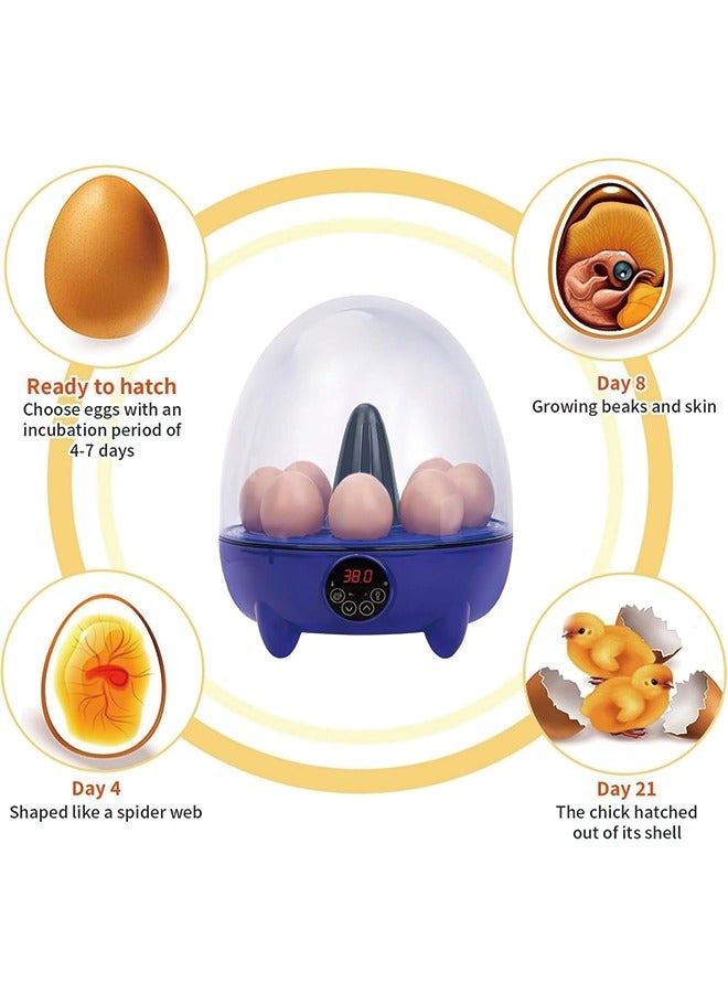 Egg Incubator, 8 Eggs Poultry Hatcher with Humidity Temperature Control, Mini Chicken Incubator 360 View Poultry Incubator for Hatching Chicks Quail Duck Bird Turkey Eggs(8 Eggs)