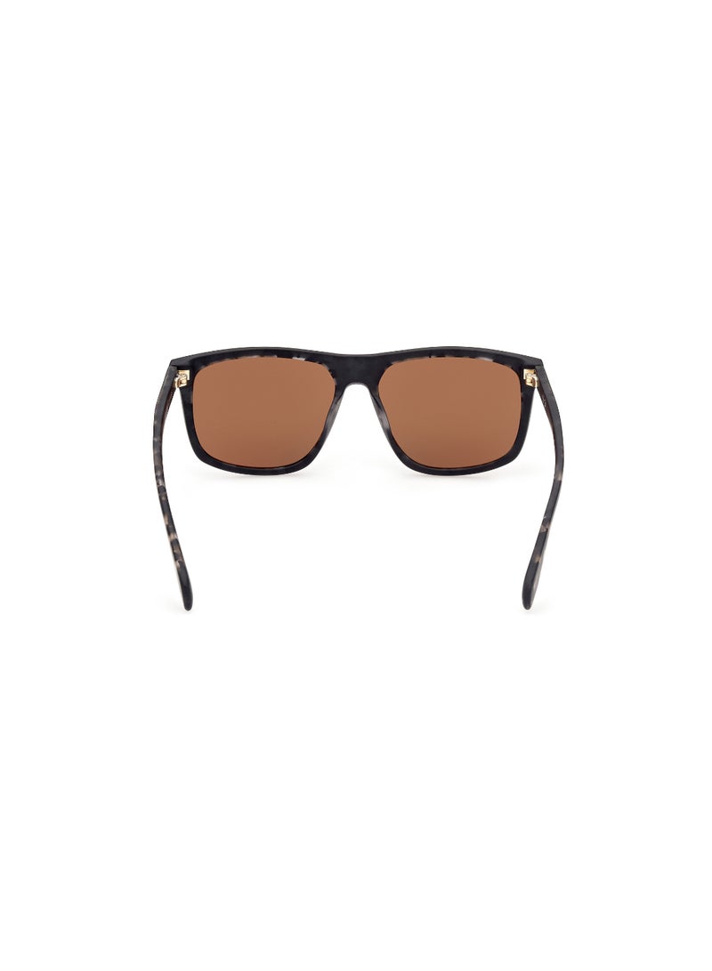 Men's Mirrored Navigator Shape Acetate Sunglasses OR006205G56 - Lens Size: 56 Mm - Black