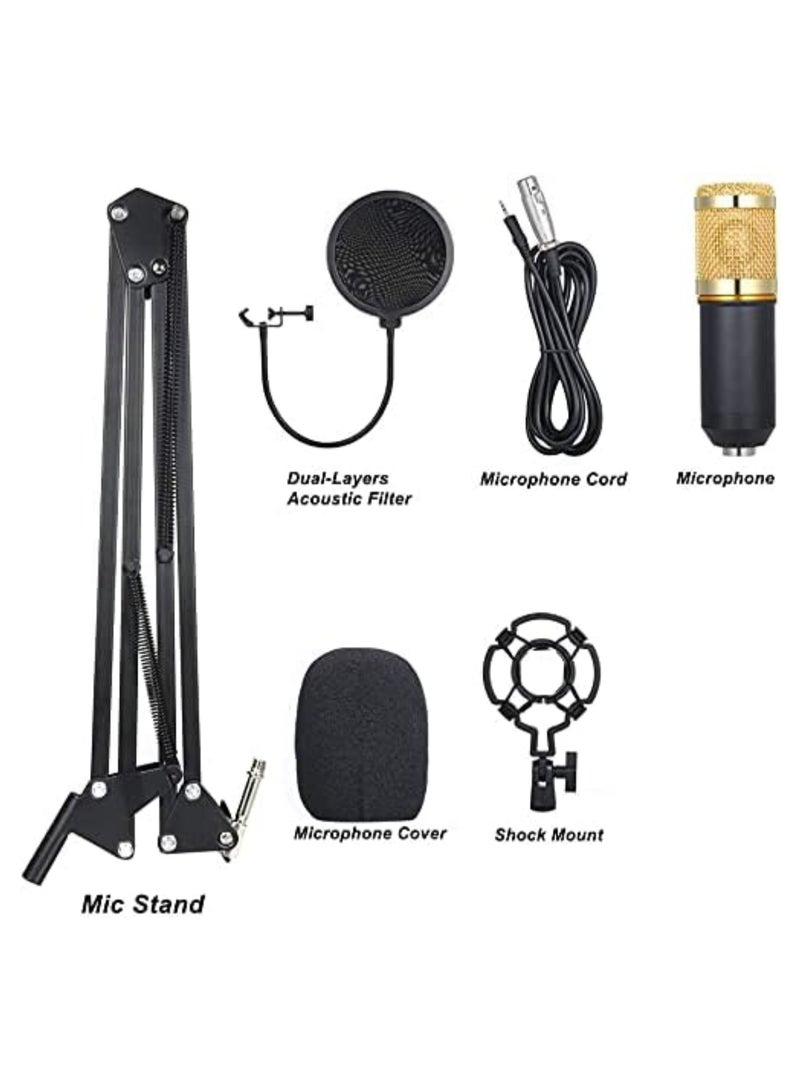 Professional Condenser Microphone Bundle Mic Kit with V8 Audio Sound Card And Metal Stand For Live Streaming Recording Broadcasting