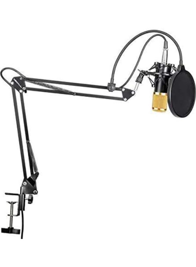 Professional Condenser Microphone Bundle Mic Kit with V8 Audio Sound Card And Metal Stand For Live Streaming Recording Broadcasting